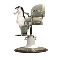 Horse barber chair salon furniture barber chair for kids